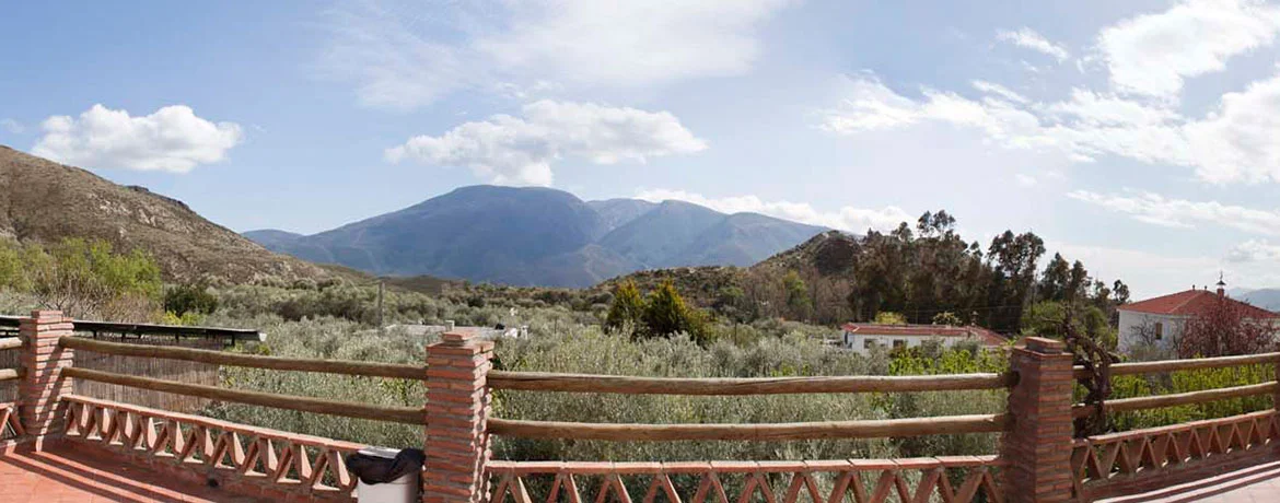 Terrace View
